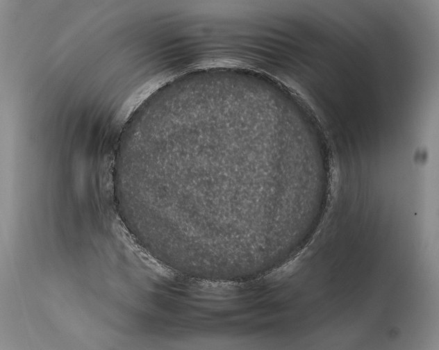 X0000111650921200908071404