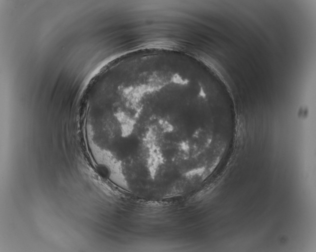 X0000111650923200908071404
