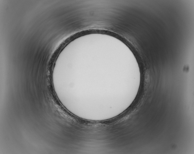 X0000111650926200908071404