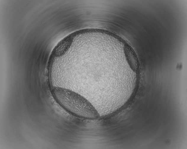 X0000111650928200908071404