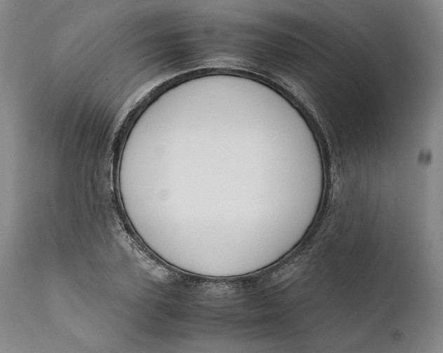 X0000111650931200908071404