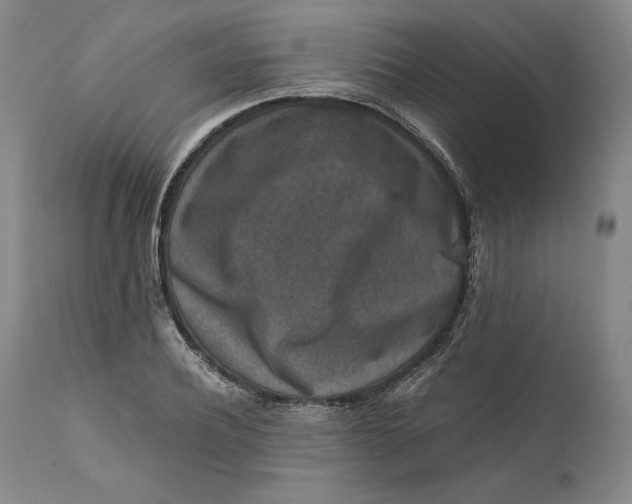 X0000111650932200908071404
