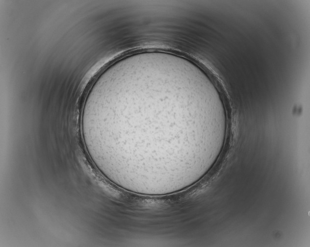 X0000111650933200908071404