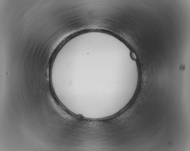 X0000111650934200908071404