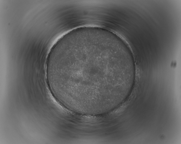 X0000111650935200908071404