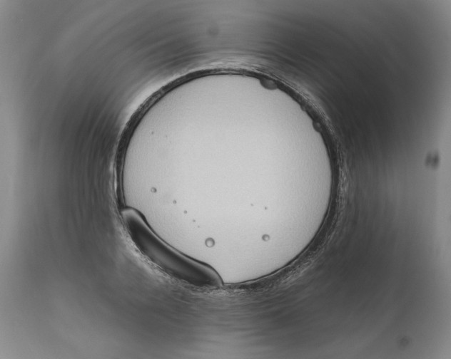 X0000111650936200908071404
