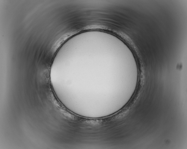 X0000111650937200908071404