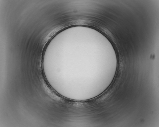 X0000111650938200908071404