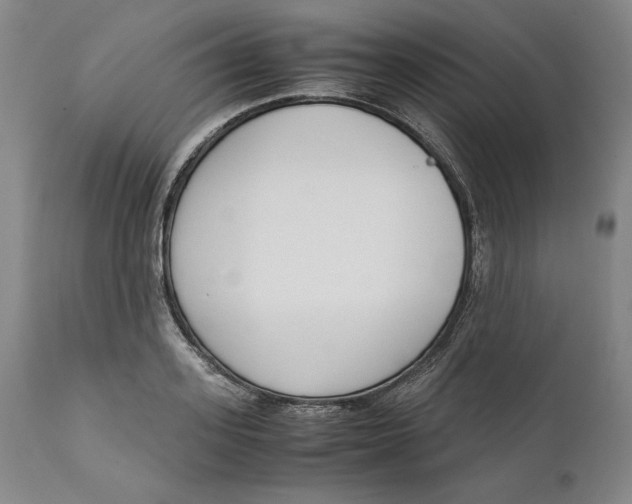 X0000111650939200908071404