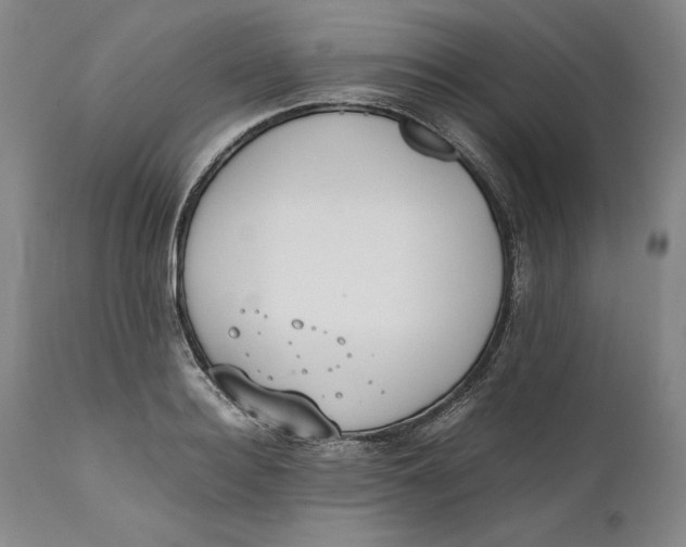 X0000111650940200908071404