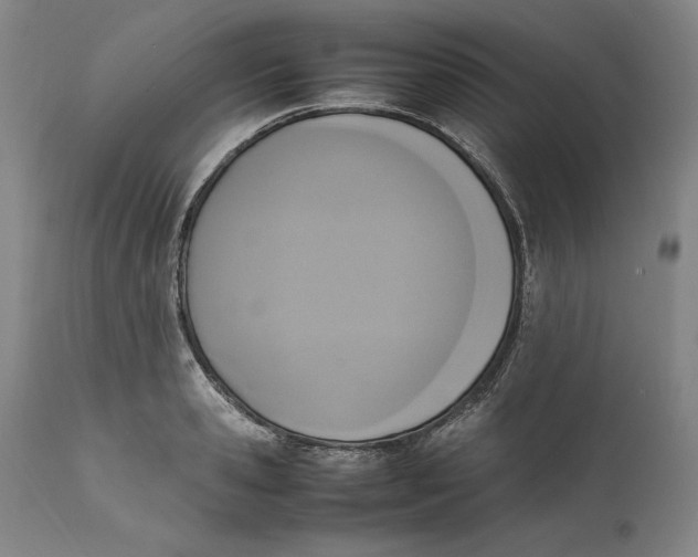 X0000111650941200908071404