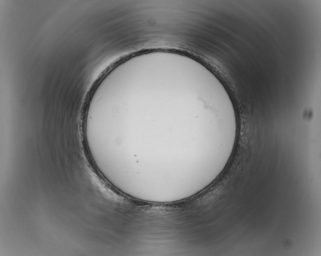 X0000111650942200908071404