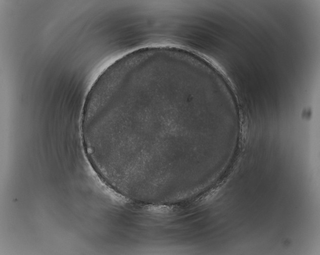 X0000111650943200908071404