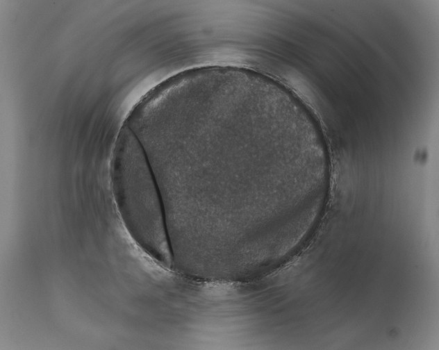 X0000111650944200908071404