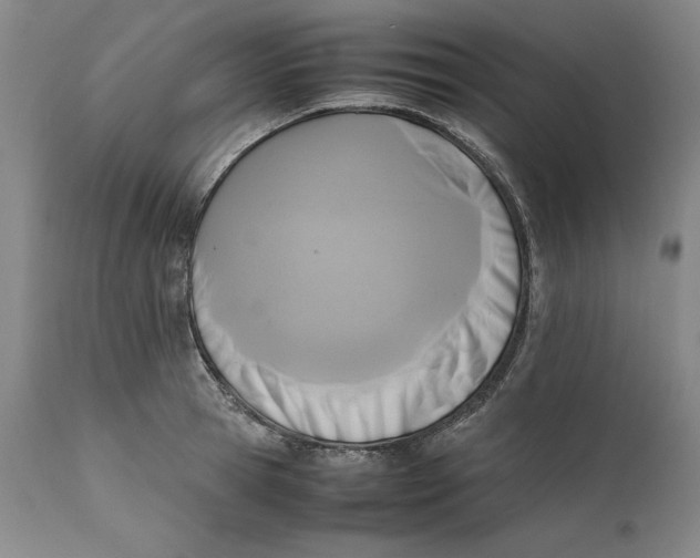 X0000111650945200908071404
