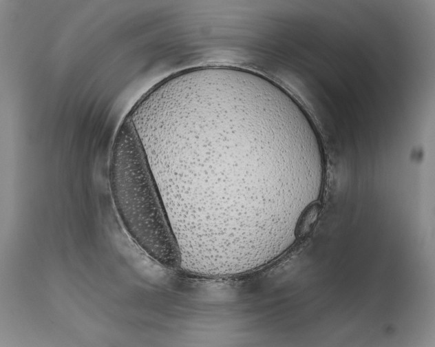 X0000111650948200908071404
