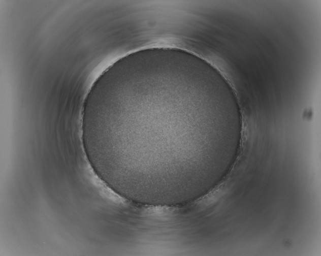 X0000111650950200908071404