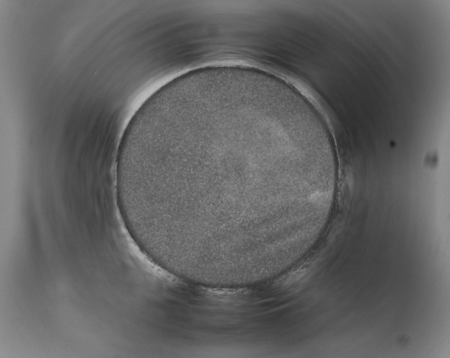 X0000111650951200908071404