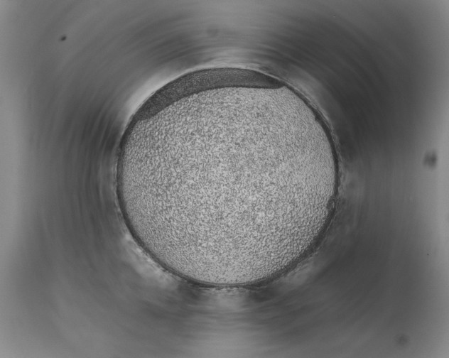 X0000111650952200908071404