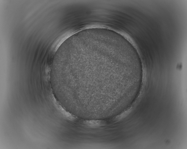 X0000111650953200908071404