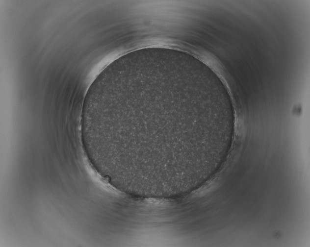 X0000111650954200908071404