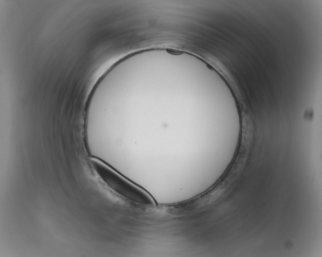 X0000111650956200908071404