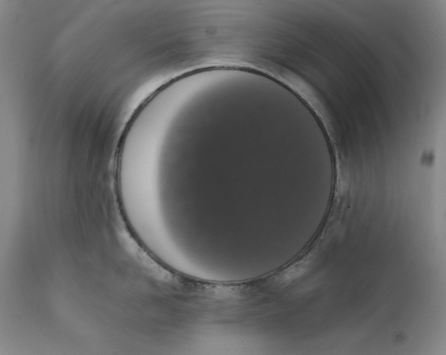 X0000111650958200908071404