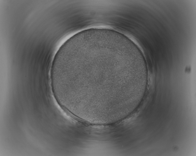X0000111650959200908071404