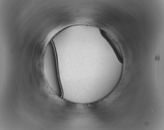 X0000111650960200908071404