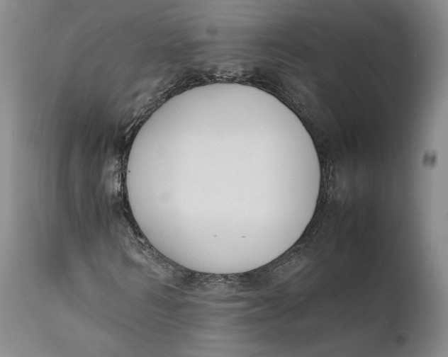 X0000111650962200908071404