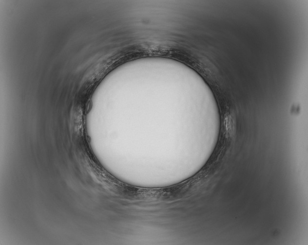 X0000111650963200908071404