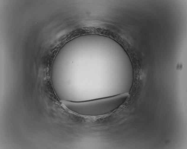X0000111650965200908071404