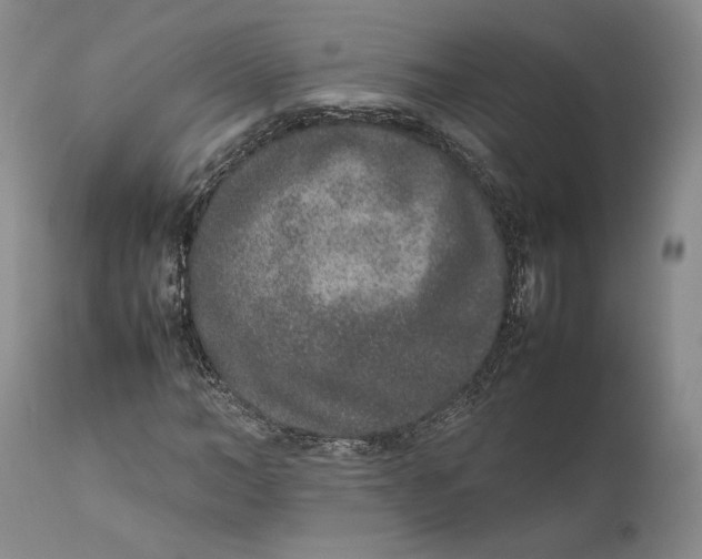 X0000111650966200908071404