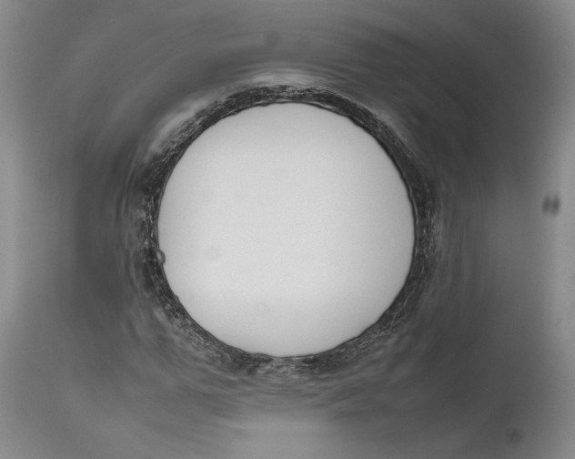 X0000111650967200908071404