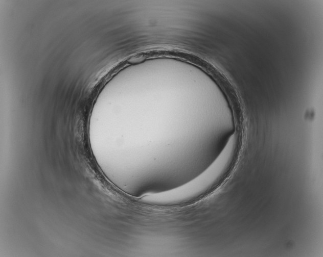 X0000111650969200908071403
