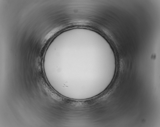 X0000111650970200908071403