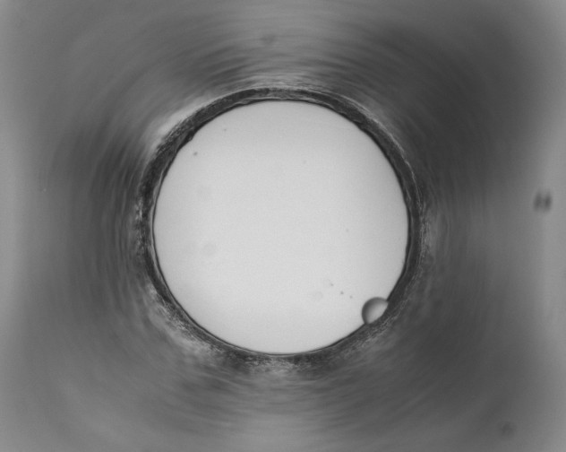 X0000111650971200908071403