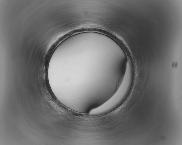 X0000111650973200908071403
