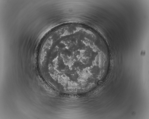 X0000111650975200908071403