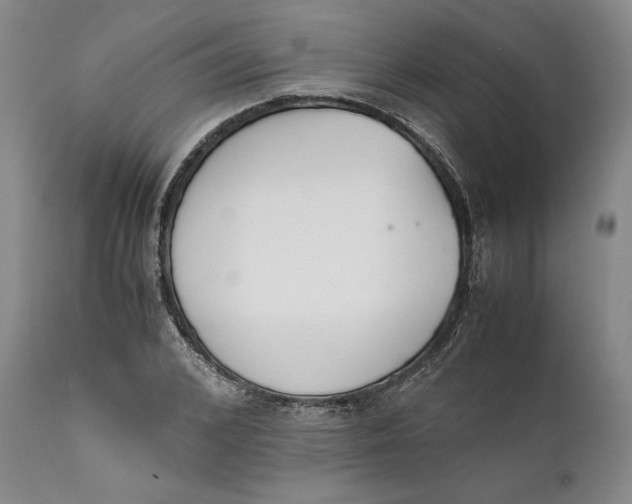 X0000111650976200908071403
