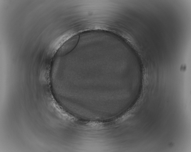 X0000111650977200908071403