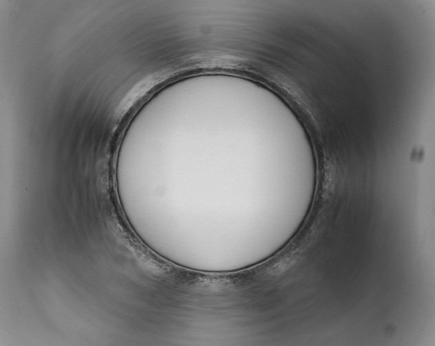 X0000111650978200908071403