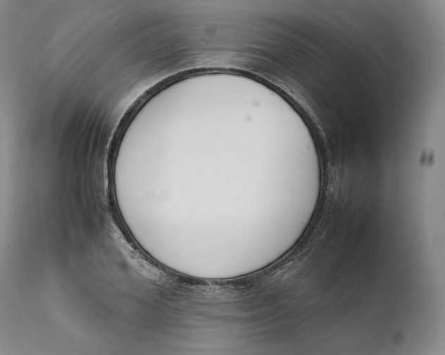 X0000111650980200908071403