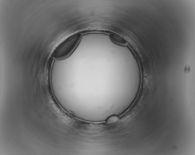 X0000111650981200908071403
