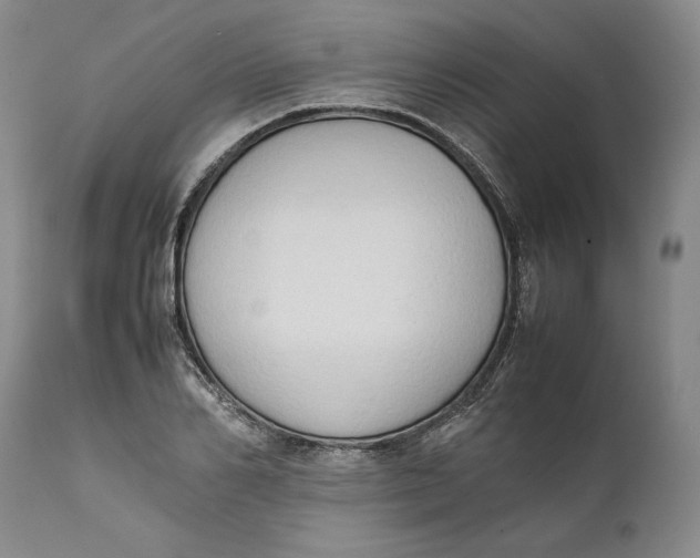 X0000111650982200908071403