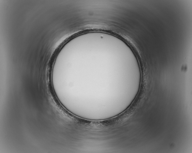 X0000111650983200908071403