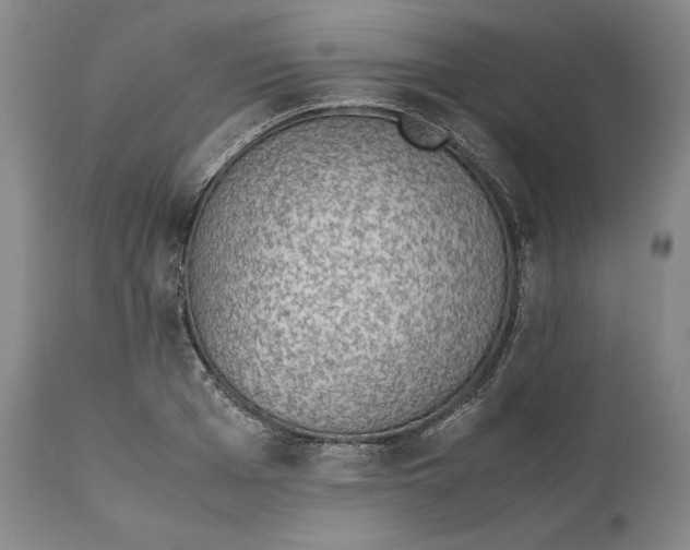 X0000111650985200908071403