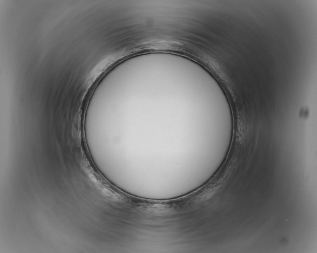 X0000111650986200908071403