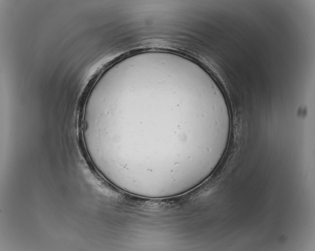 X0000111650987200908071403