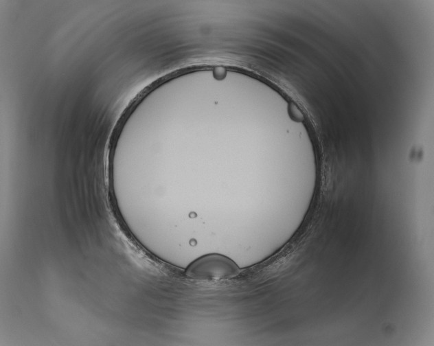 X0000111650988200908071403